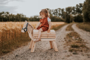 Petit Cheval de Voltige et d'Équitation Compact