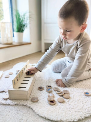 Boîte de Tri d'Images Éducative - 6 Thèmes & 60 Jetons